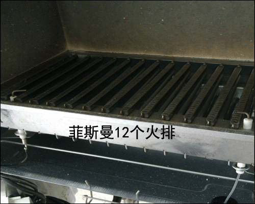 武汉菲斯曼壁挂炉
