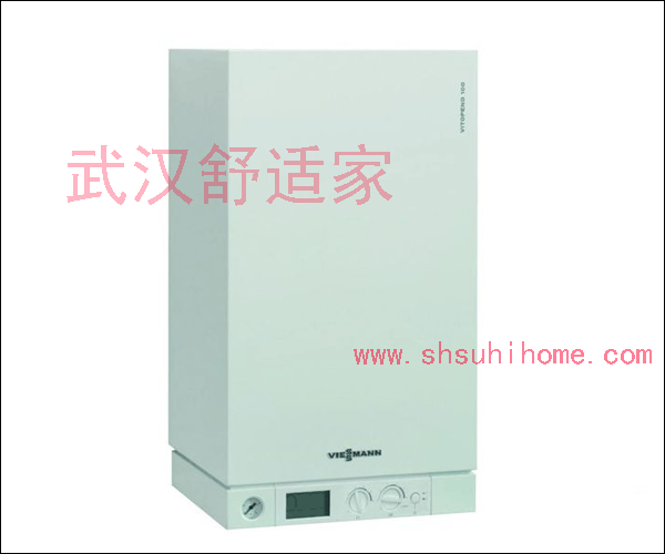 武汉菲斯曼锅炉
