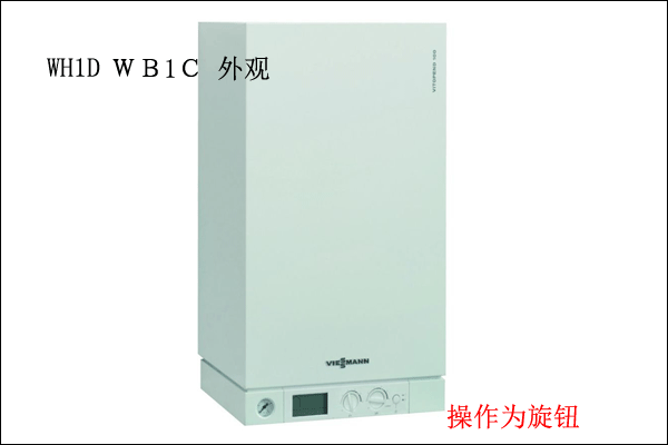 菲斯曼100系列壁挂炉外观,WH1D,WB1C外观