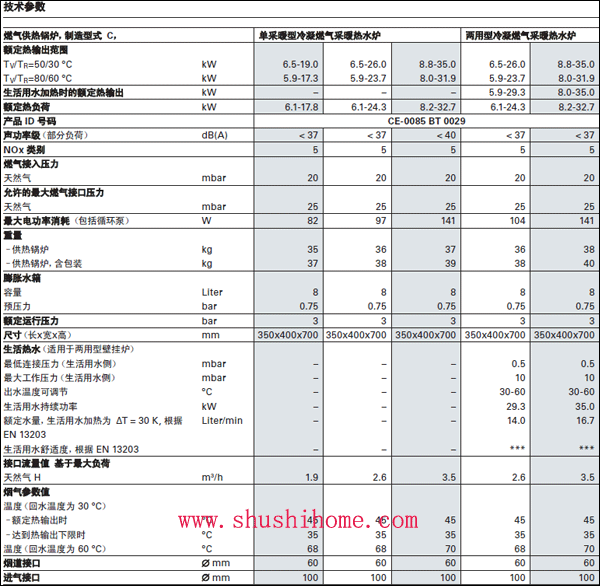 菲斯曼WB1C冷凝炉技术参数