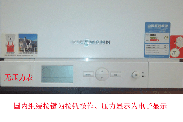 国内组装菲斯曼