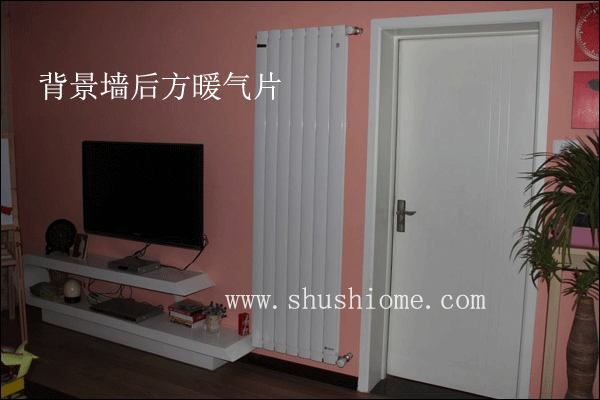 客厅背景墙暖气片安装效果图
