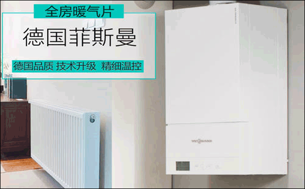 菲斯曼燃气壁挂炉