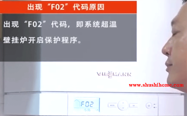 菲斯曼F02故障维修