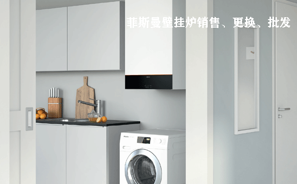 菲斯曼壁挂炉价格