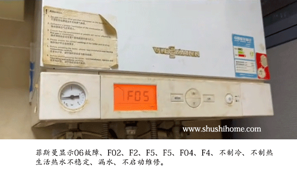 菲斯曼F05故障维修