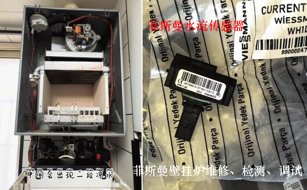 ��˹���ڹ�¯ά��