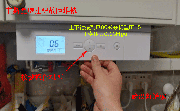 ��˹���ڹ�¯ά��