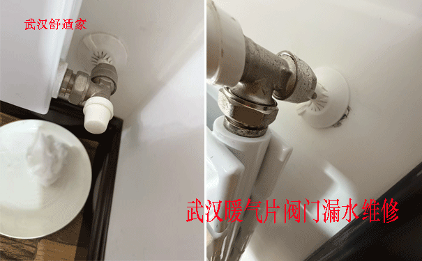 ů��Ƭ©ˮά��