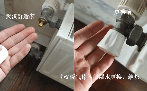 ů��Ƭ����©ˮά��