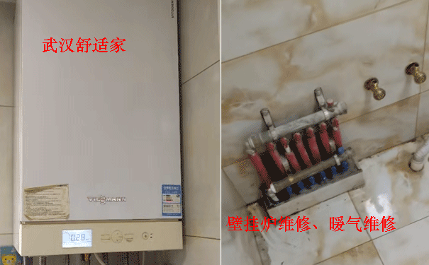 ��˹���ڹ�¯ά��